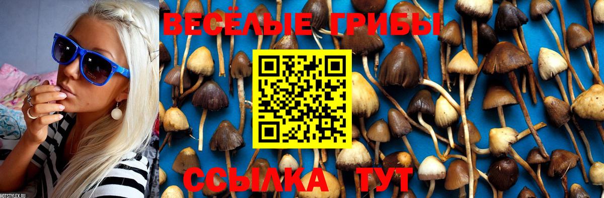 Галлюциногенные грибы Psilocybe  Вход с VPN  Куйбышев  Галлюциногенные грибы мухоморы 